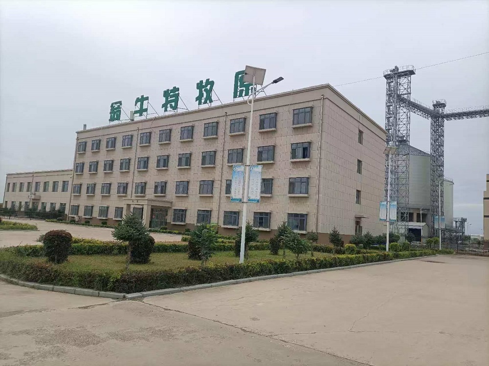 1789522771599938.jpg 1658617b48a6bb4ac6c9b213da04b620.jpg