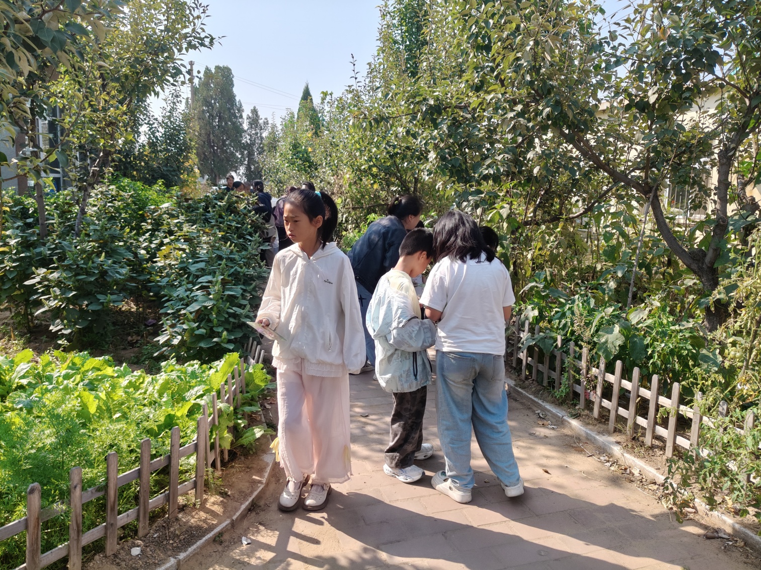 1789957758239147.jpg 马林街道林山社区关工委“月满中秋寻童趣”庆中秋亲子活动照片2_副本.jpg