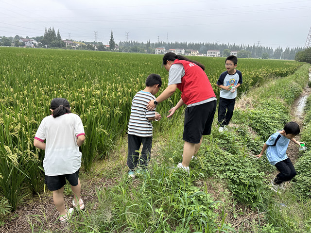 微信图片_20260928145607_176_105_副本.jpg