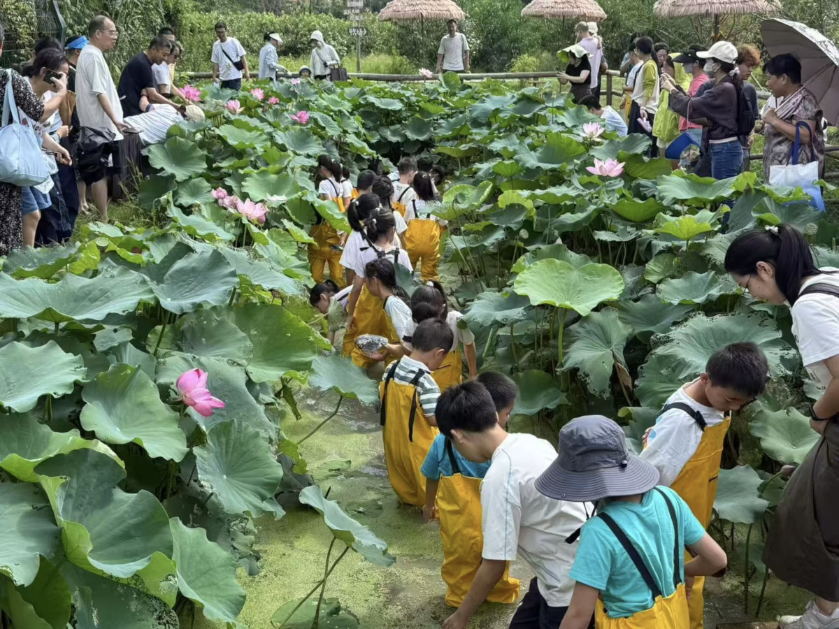 同心湖社区开展“探秘河蚌奇遇 巧手串珠拾趣”研学活动2.jpg