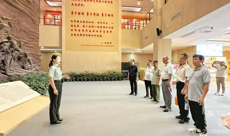 I2ZmZmZmZg_750_0_0_0_q80 (6).webp