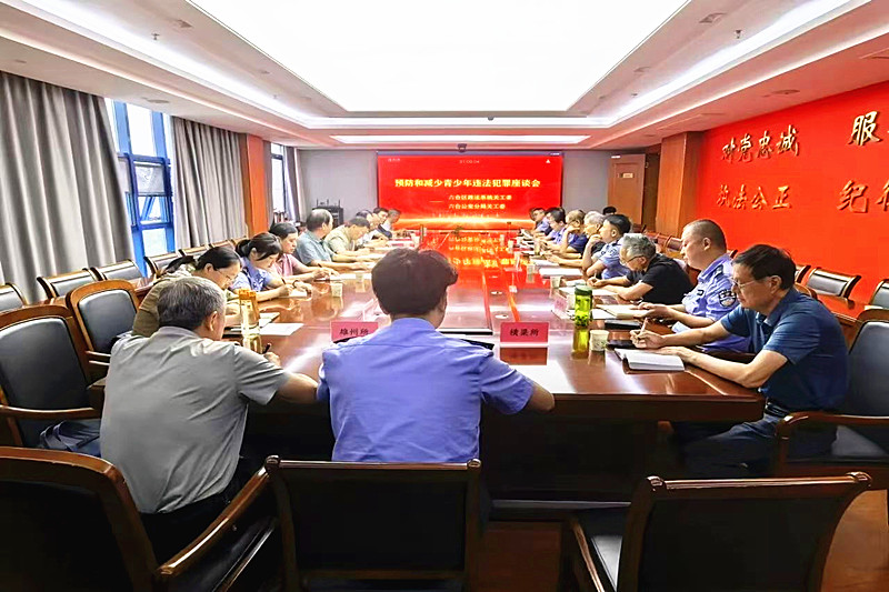 江苏省南京市六合区政法系统关工委召开“预防和减少青少年违法犯罪”工作座谈会(1).jpg
