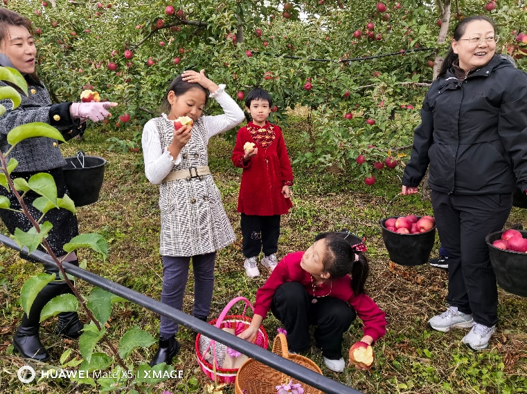 1791426622714128.png 图片5.png