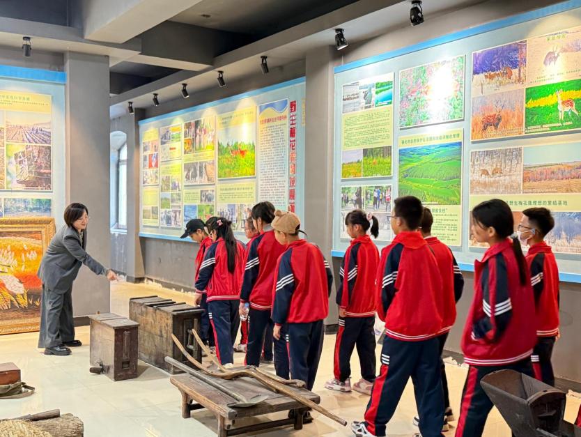 拜泉县文化小学关工领导小组开展博物馆研学实践活动2.jpg