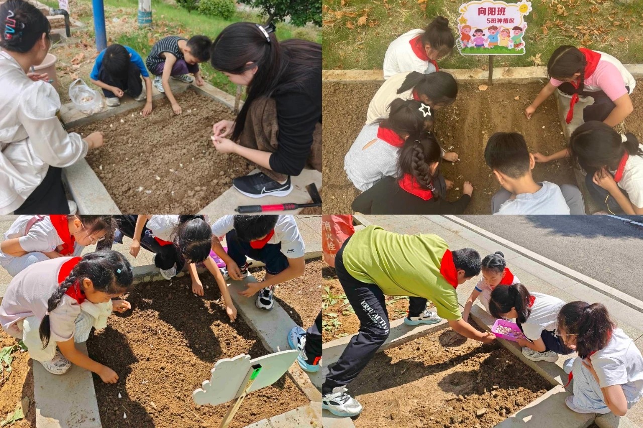 1791601435234235.jpg 微信图片_20261009154135_1202_1.jpg