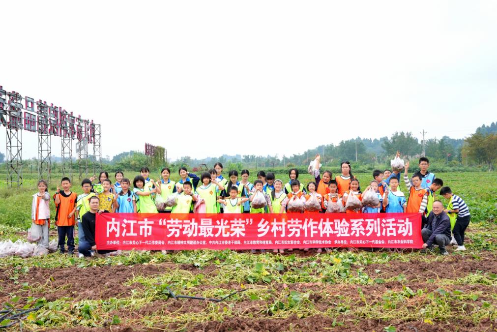 1791941226245263.jpg 图片4.jpg